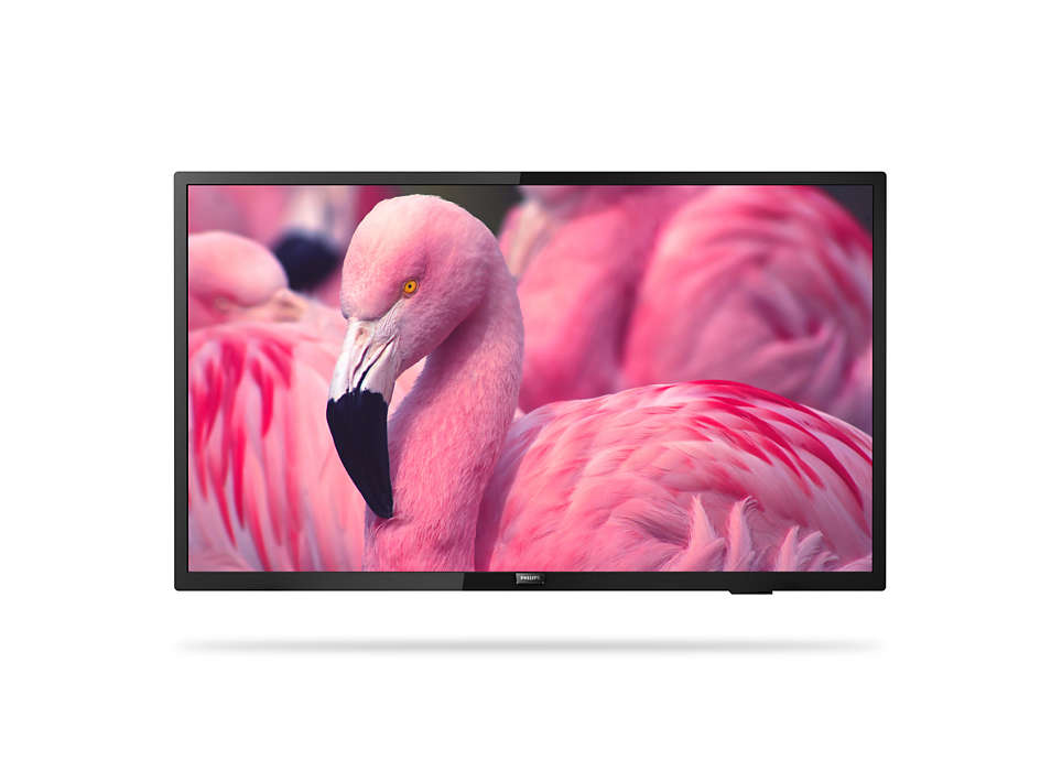 Philips 32HFL4014/12 Gästefernseher 81,3 cm (32") HD 250 cd/m² Schwarz 16 W