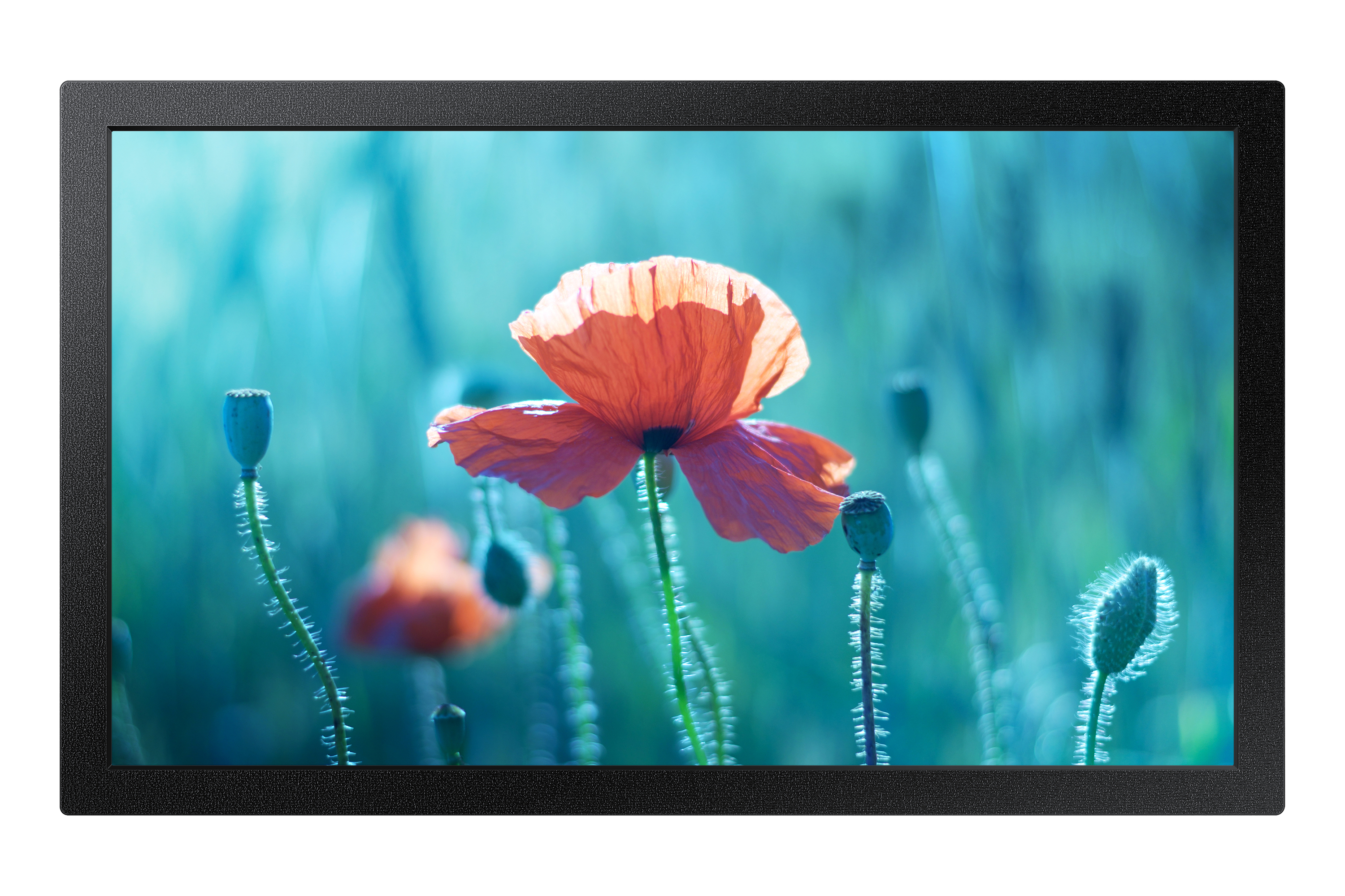 Samsung QB13R-M Digital Signage Flachbildschirm 33 cm (13") LCD WLAN 500 cd/m² Full HD Schwarz Eingebauter Prozessor Tizen 4.0 16/7