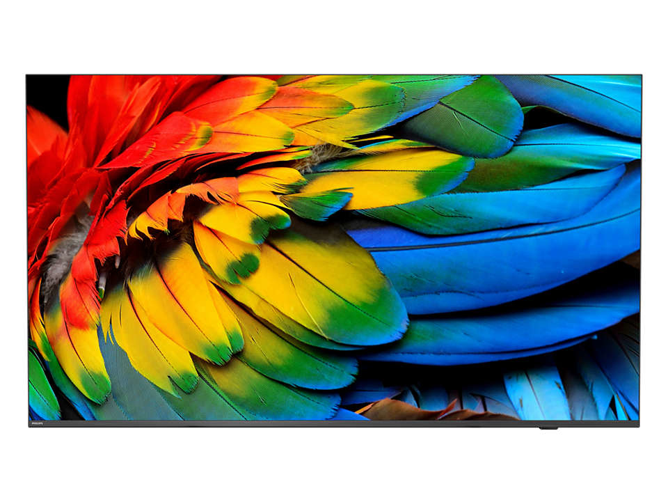 Philips 43HFL6214U Rollbares Display 109,2 cm (43") 4K Ultra HD Smart-TV WLAN Anthrazit