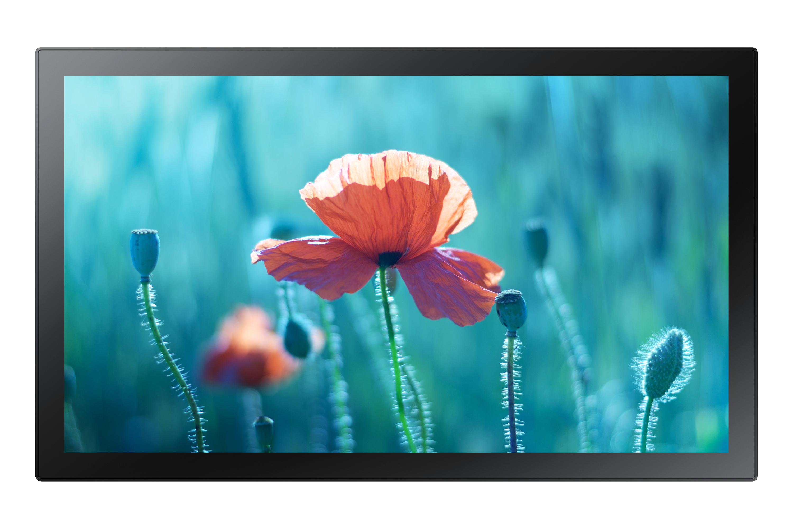 Samsung QB13R-TM Interaktiver Flachbildschirm 33 cm (13") LED WLAN 500 cd/m² Full HD Schwarz Touchscreen Eingebauter Prozessor Tizen 4.0 16/7