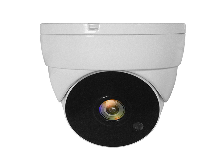 LevelOne ACS-5302 Sicherheitskamera Dome CCTV Sicherheitskamera Innen & Außen Zimmerdecke