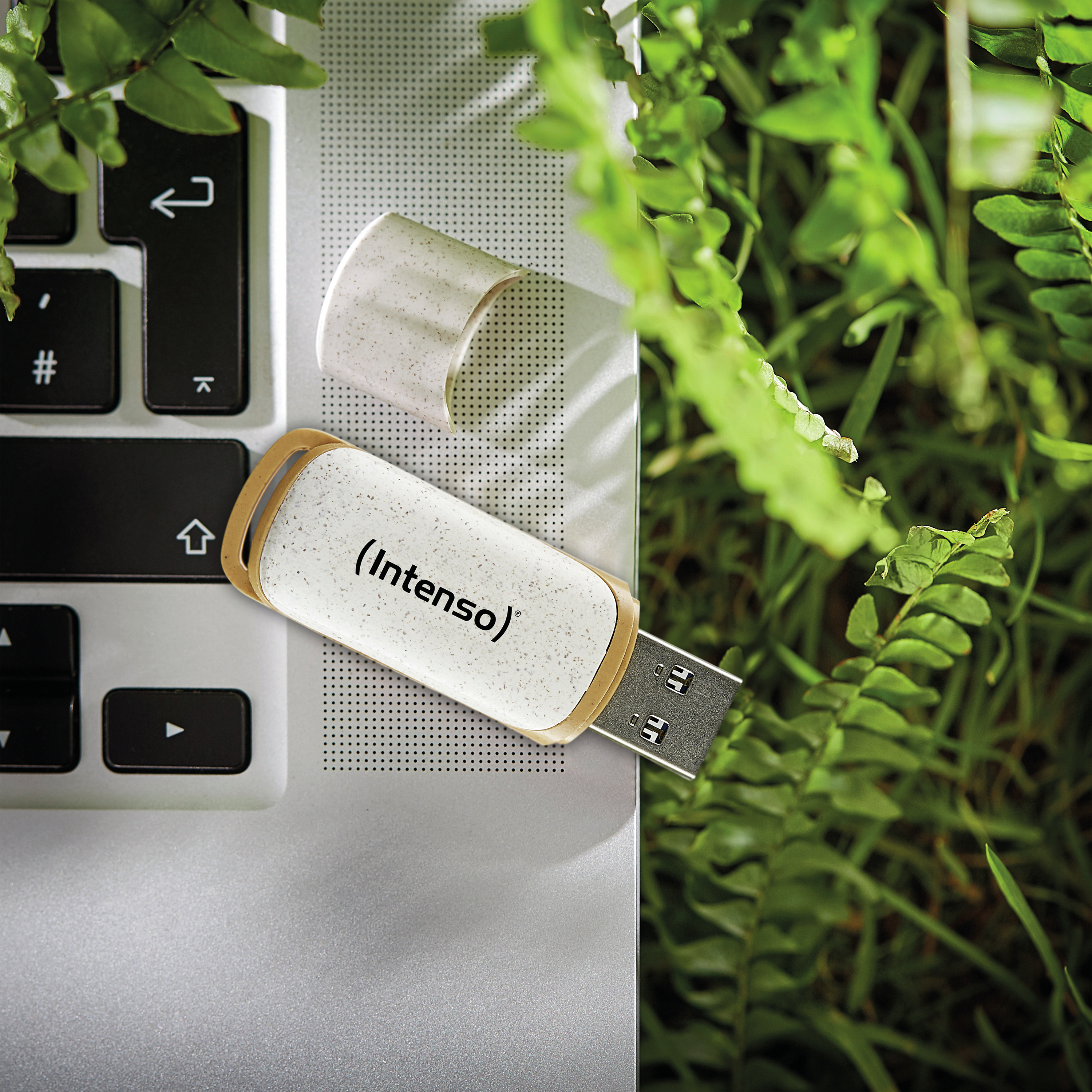 Intenso Green Line USB-Stick 128 GB USB Typ-A 3.2 Gen 1 (3.1 Gen 1) Beige, Braun