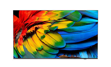 Philips 65HFL6214U/12 Fernseher 165,1 cm (65") 4K Ultra HD WLAN Anthrazit